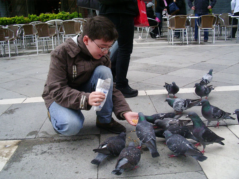 Venise place st marc ,enfant  et  pigeons