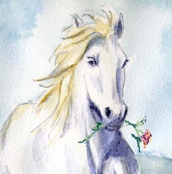 Le cheval  et la fleur
