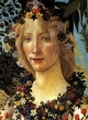 Botticelli, le printemps